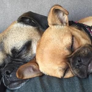 Meet your Posher, Jay